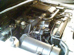 motor4.jpg